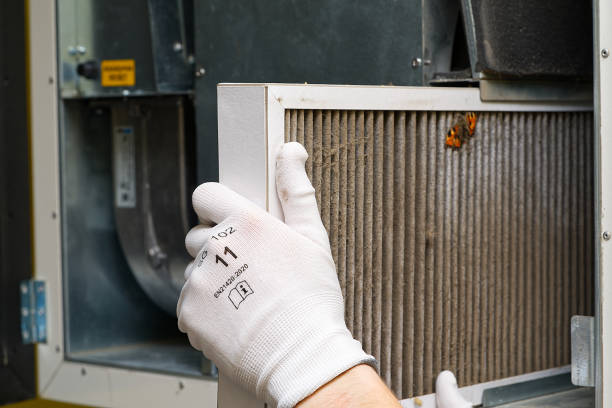 Best Professional Duct Cleaning Services  in Rayville, LA