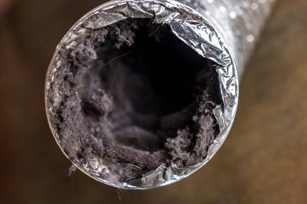 Best HVAC Air Duct Cleaning  in Rayville, LA