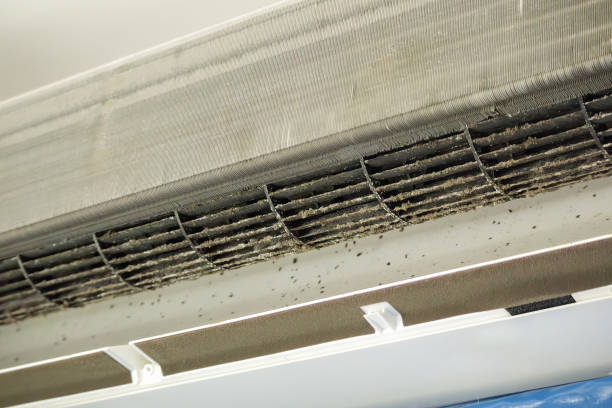Best HVAC Duct Inspection Services  in Rayville, LA